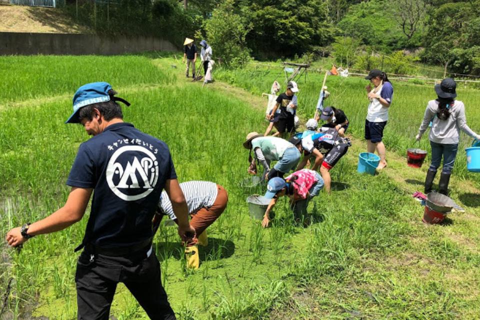 なぜこの課題に取り組むかの画像