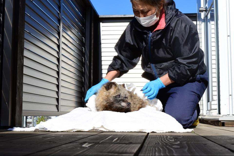 なぜこの課題に取り組むかの画像