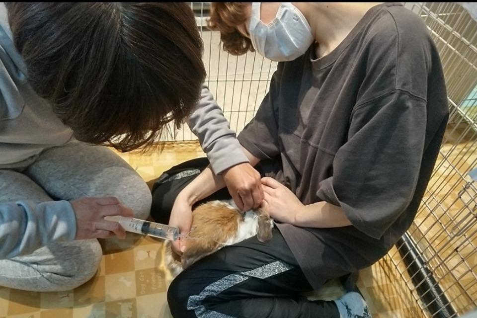 なぜこの課題に取り組むかの画像