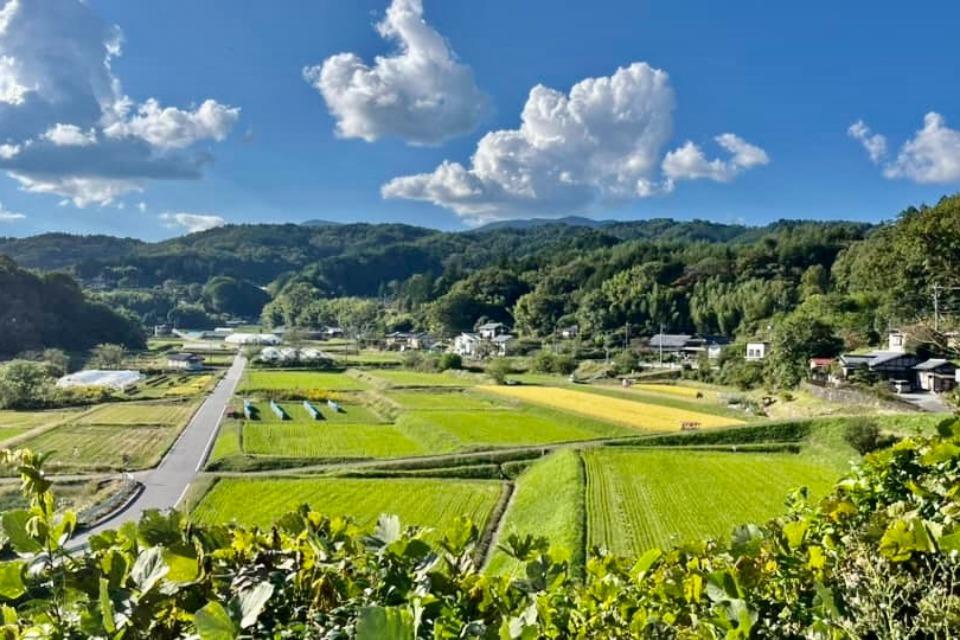 なぜこの課題に取り組むかの画像