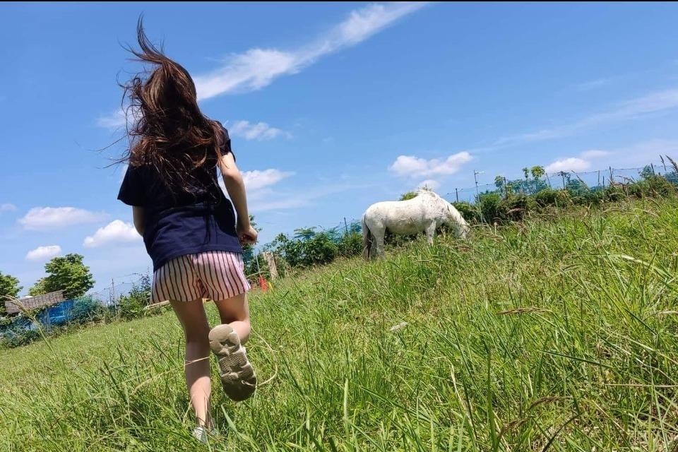 なぜこの課題に取り組むかの画像