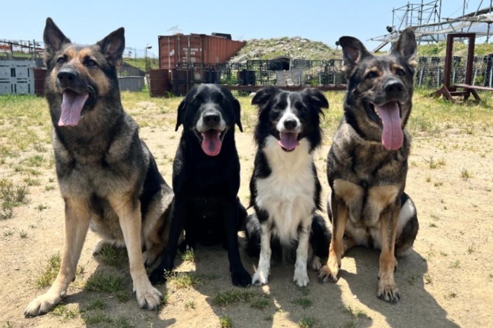 Why we are tackling this issue Image