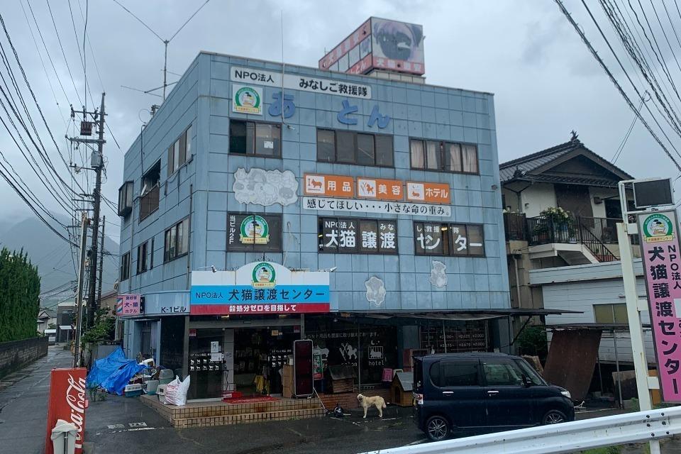 なぜこの課題に取り組むかの画像