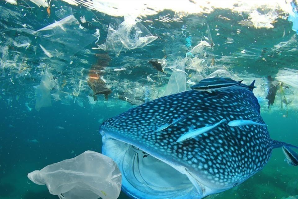 なぜこの課題に取り組むかの画像