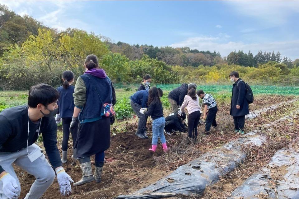 なぜこの課題に取り組むかの画像