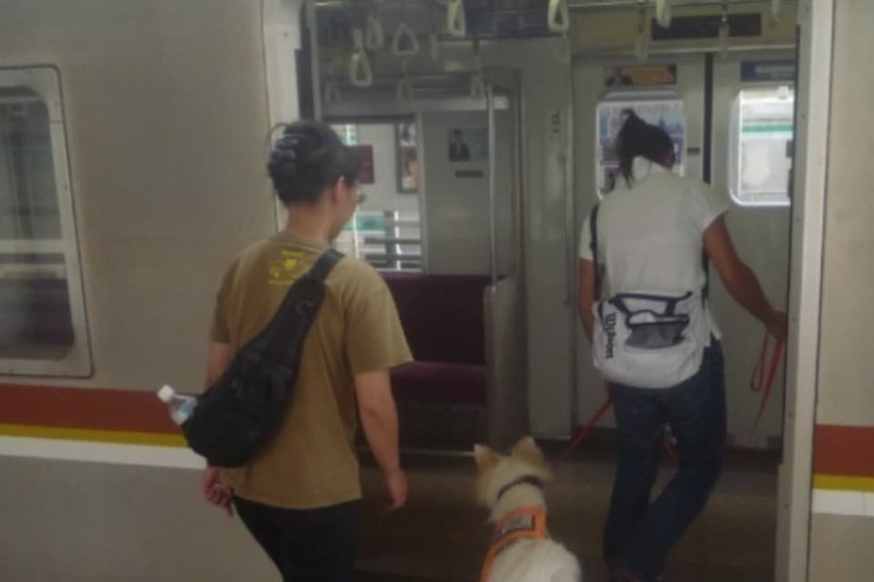 なぜこの課題に取り組むかの画像