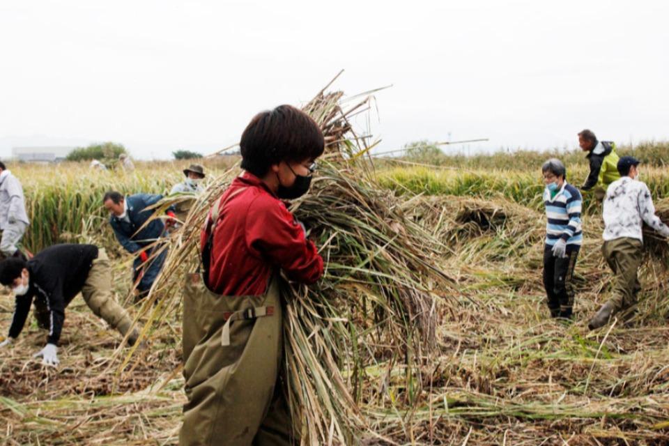 Why we are tackling this issue Image