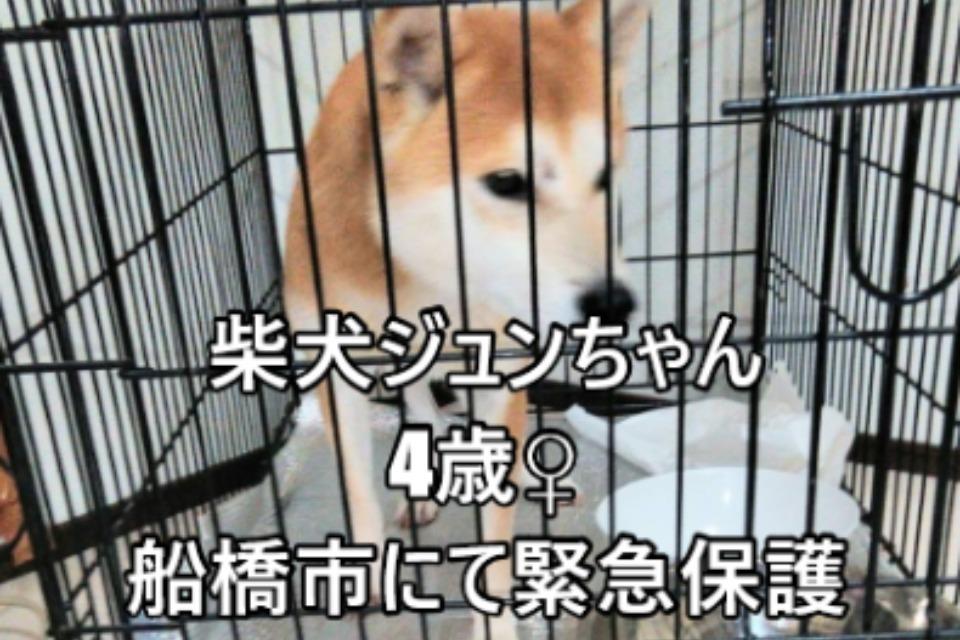 なぜこの課題に取り組むかの画像