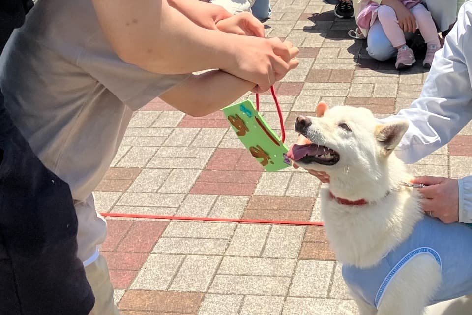 なぜこの課題に取り組むかの画像