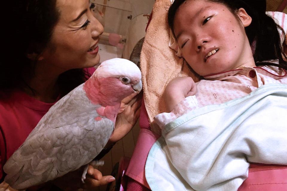 なぜこの課題に取り組むかの画像