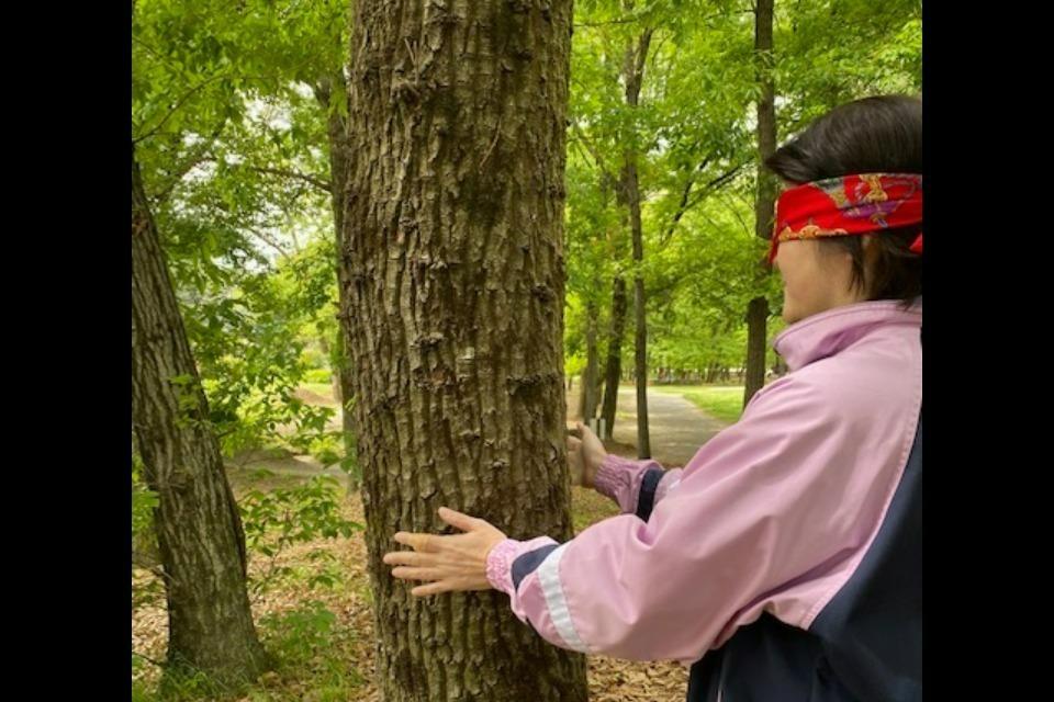 なぜこの課題に取り組むかの画像