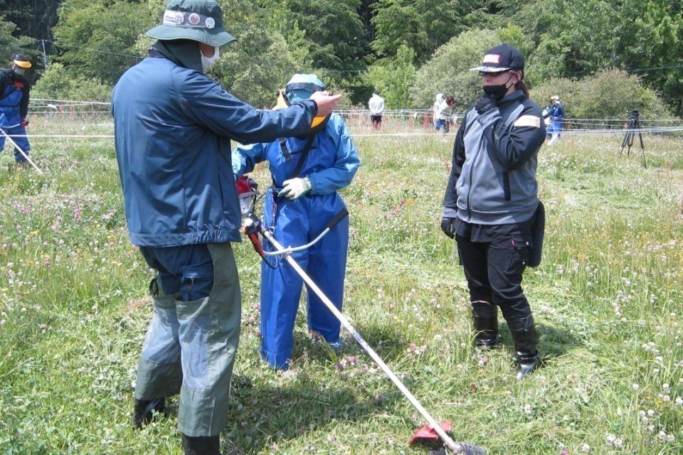 Why we are tackling this issue Image