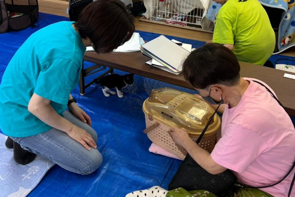 なぜこの課題に取り組むかの画像