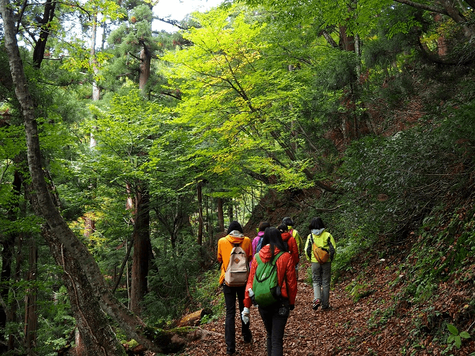 なぜこの課題に取り組むかの画像