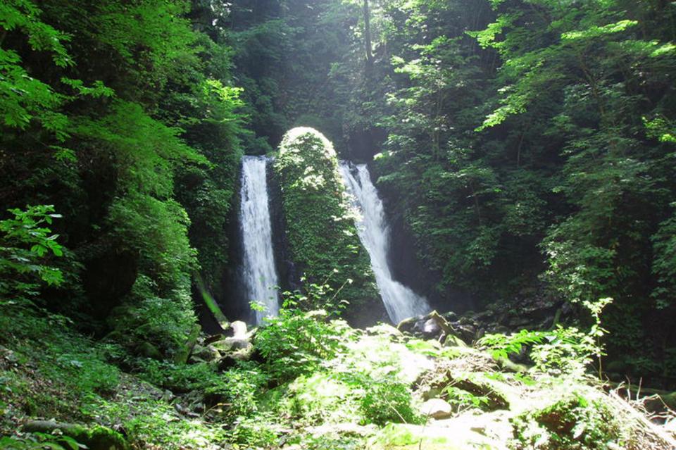 なぜこの課題に取り組むかの画像