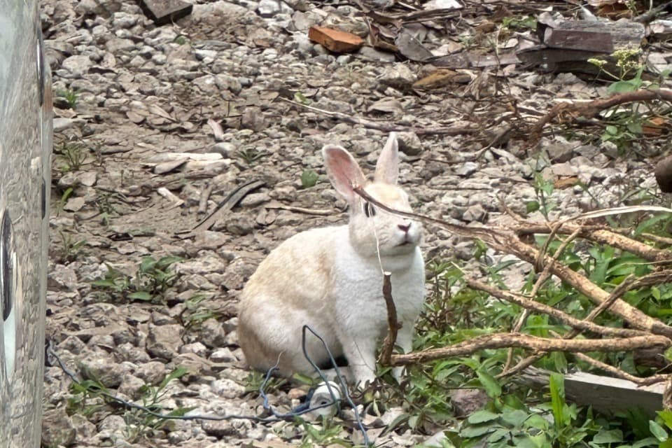 なぜこの課題に取り組むかの画像