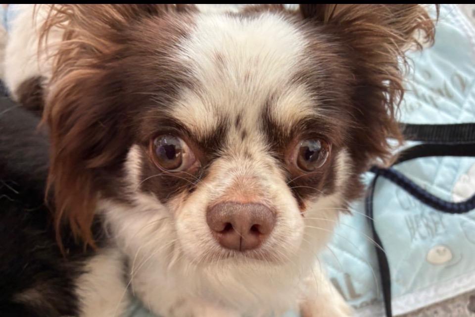 なぜこの課題に取り組むかの画像