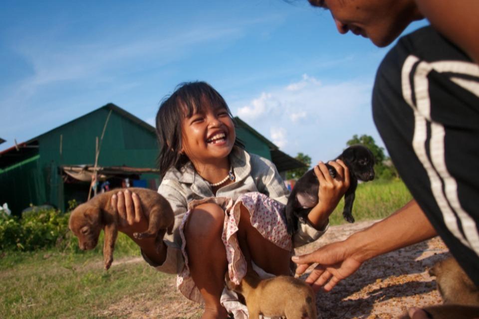 Why we are tackling this issue Image