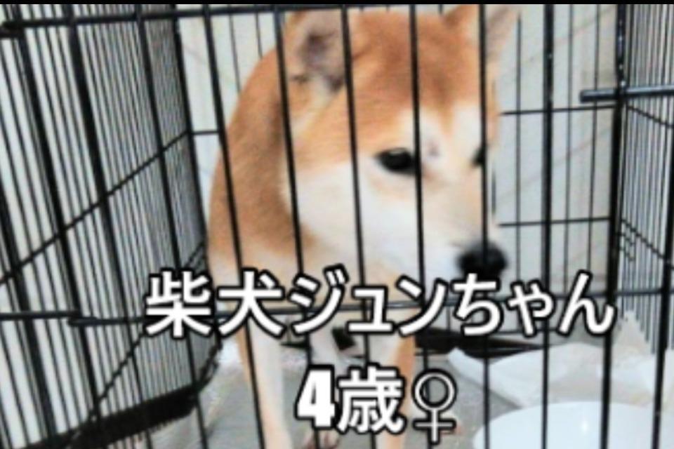 なぜこの課題に取り組むかの画像