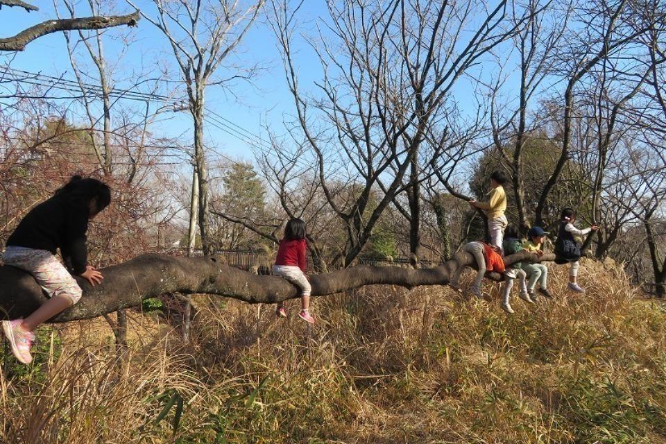 なぜこの課題に取り組むかの画像