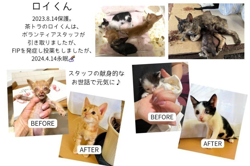 なぜこの課題に取り組むかの画像