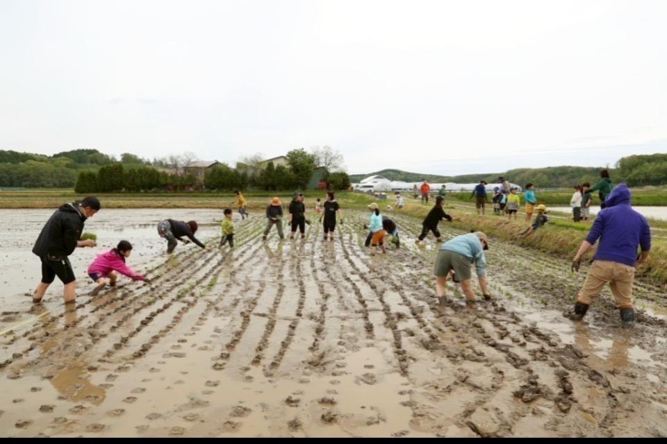 なぜこの課題に取り組むかの画像