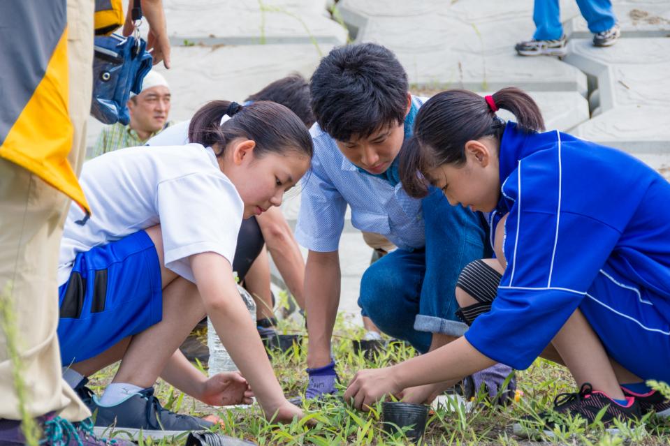 Why we are tackling this issue Image