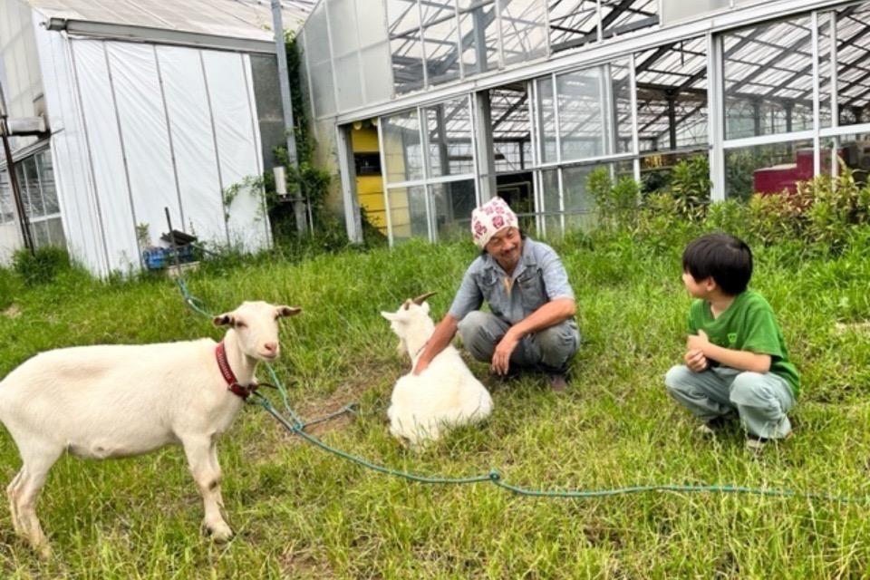 なぜこの課題に取り組むかの画像