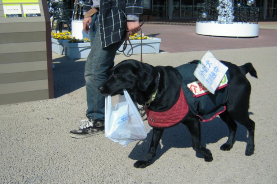 なぜこの課題に取り組むかの画像