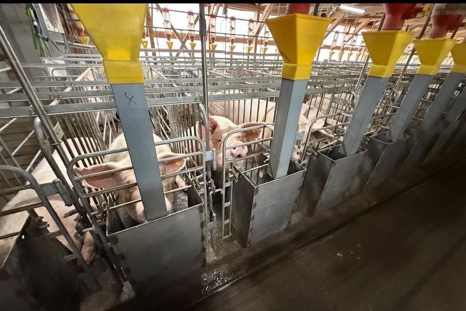 なぜこの課題に取り組むかの画像