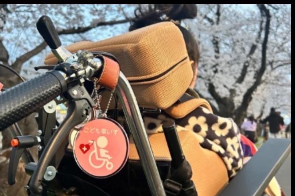 なぜこの課題に取り組むかの画像