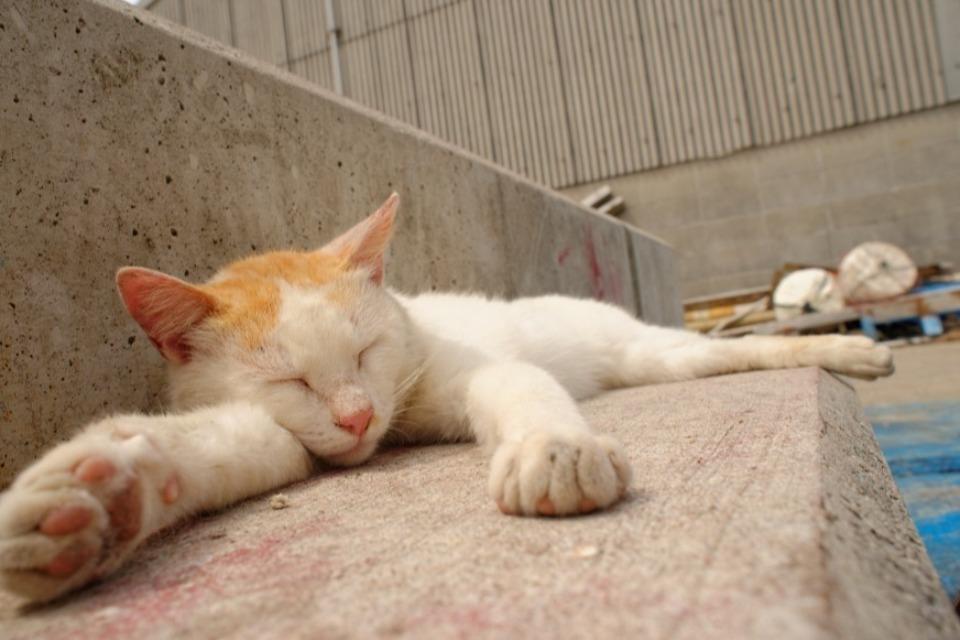 なぜこの課題に取り組むかの画像
