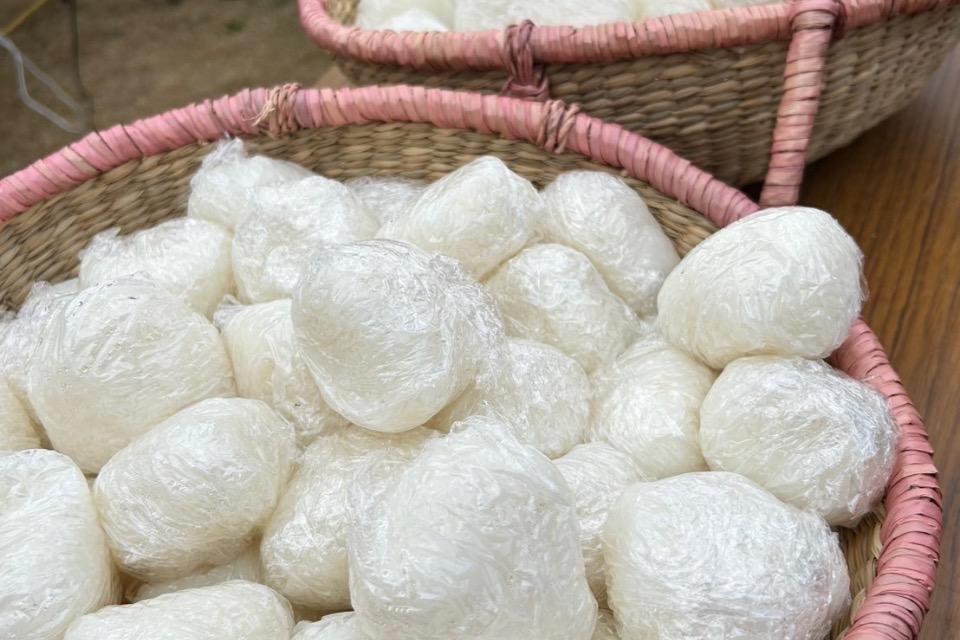 Why we are tackling this issue Image