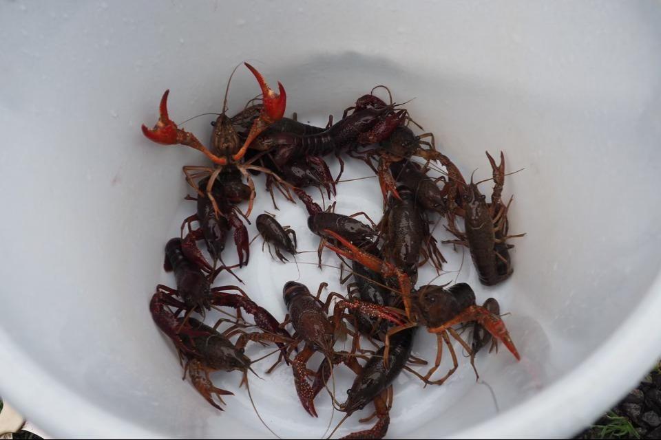 なぜこの課題に取り組むかの画像