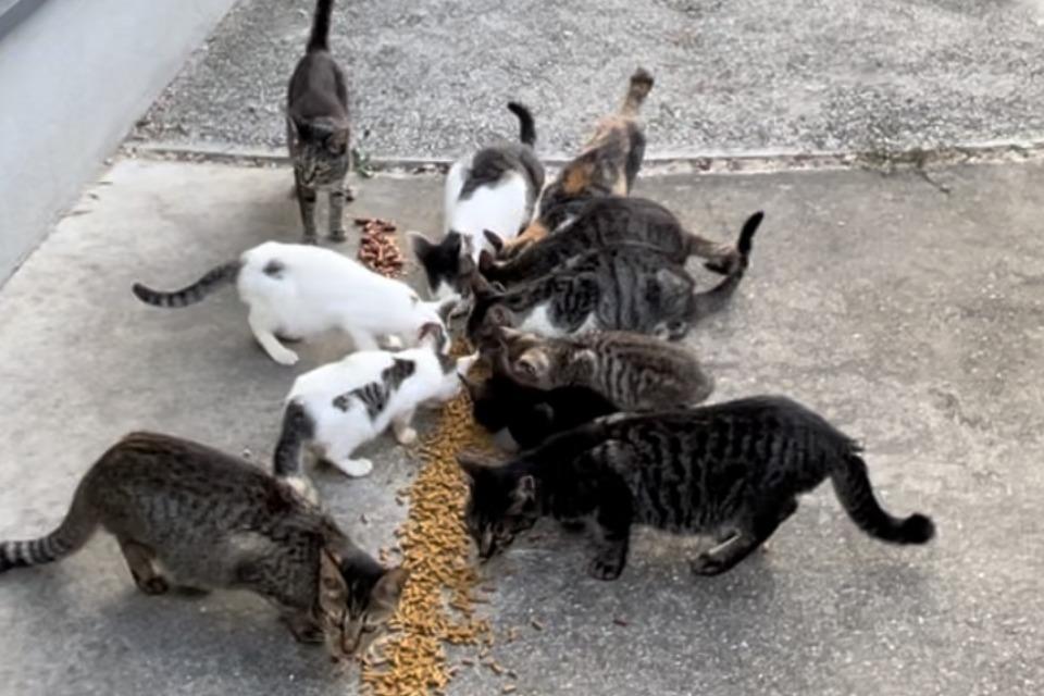 なぜこの課題に取り組むかの画像