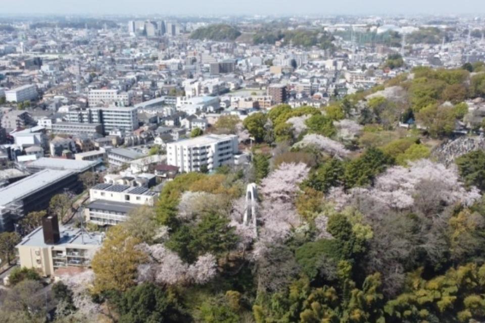 なぜこの課題に取り組むかの画像