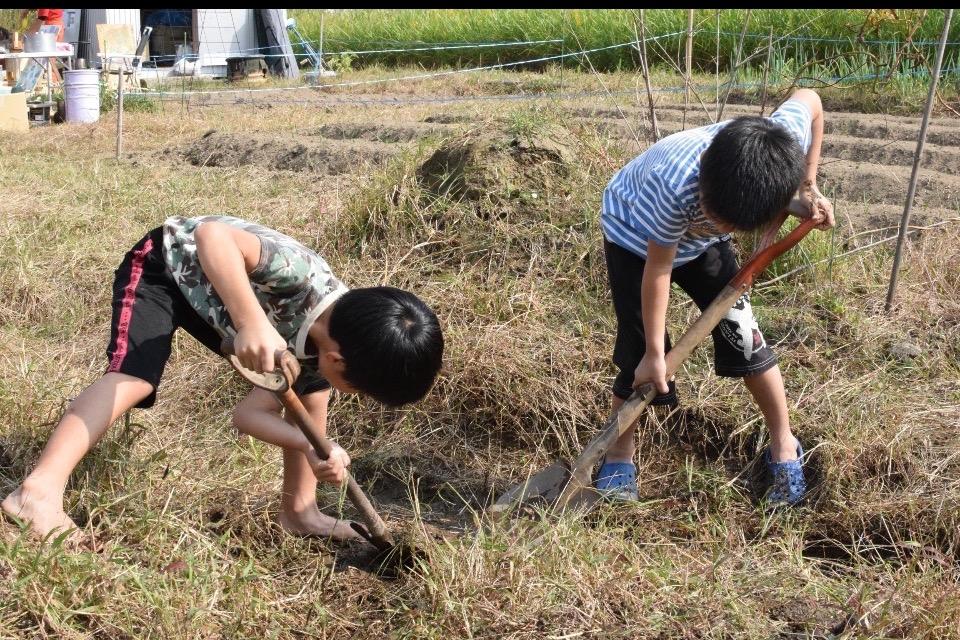 なぜこの課題に取り組むかの画像