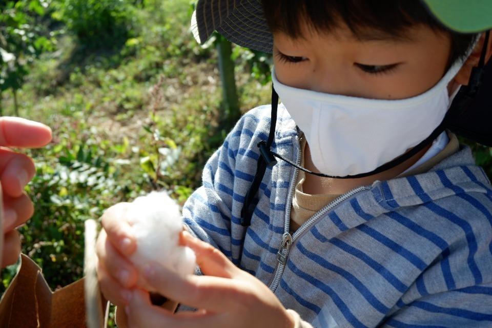 なぜこの課題に取り組むかの画像