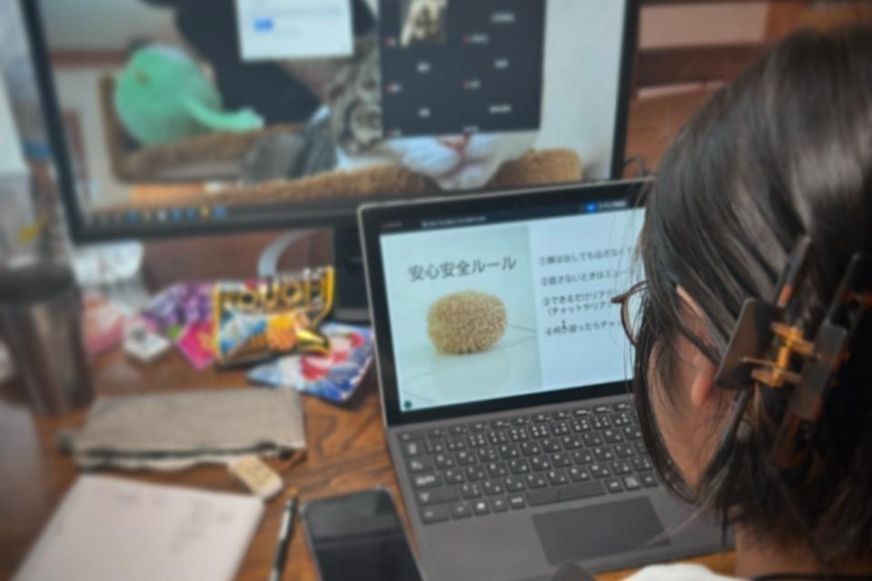 なぜこの課題に取り組むかの画像