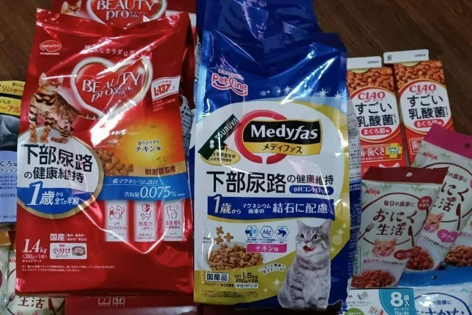 なぜこの課題に取り組むかの画像