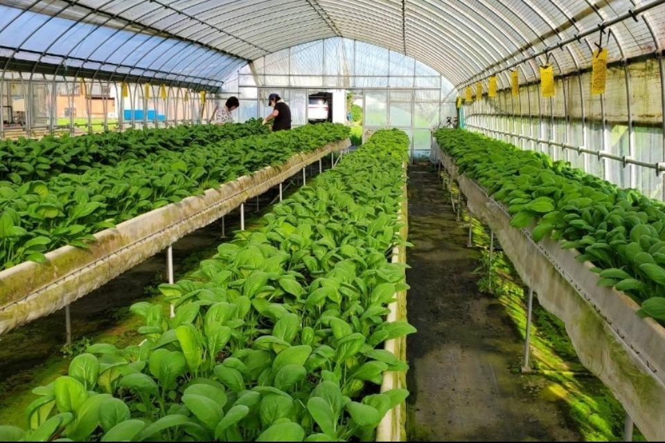 Why we are tackling this issue Image