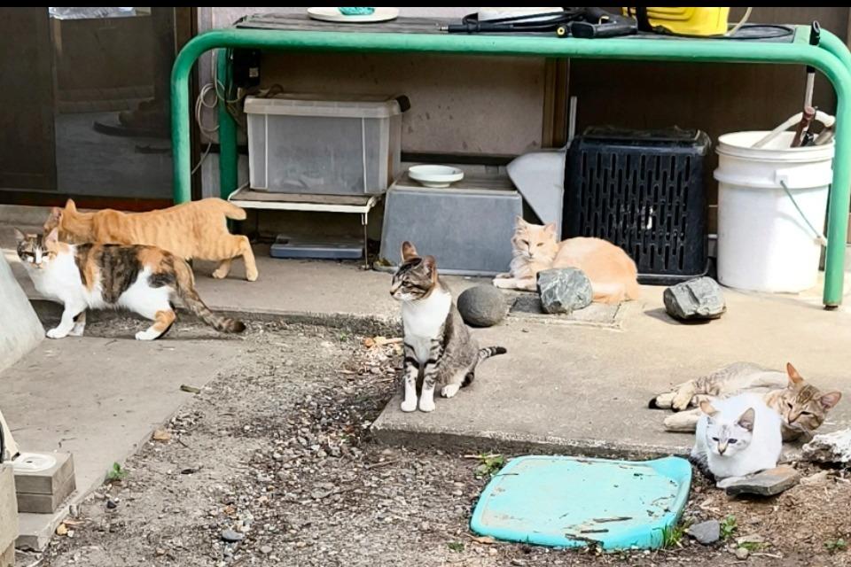 なぜこの課題に取り組むかの画像