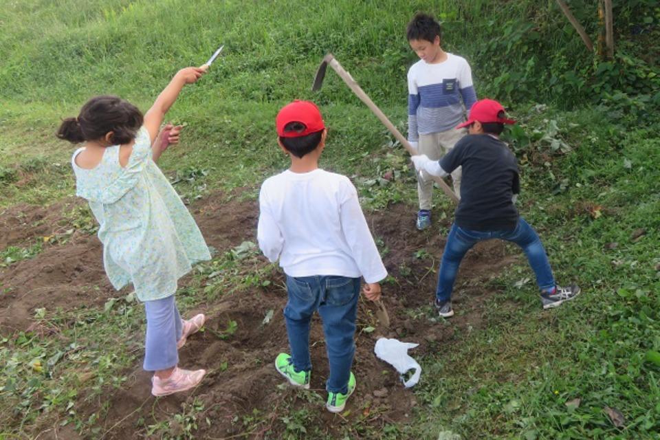 なぜこの課題に取り組むかの画像