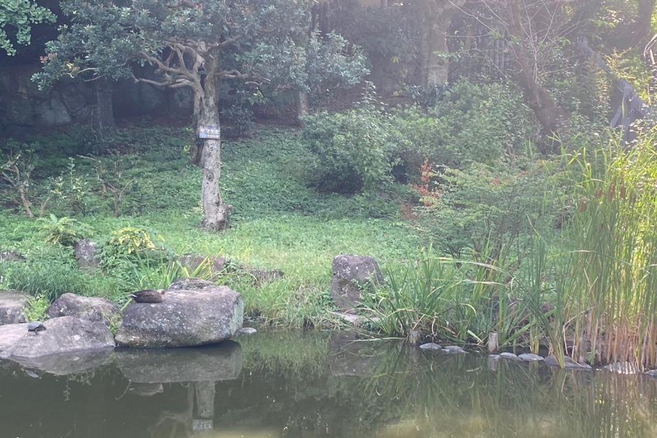 なぜこの課題に取り組むかの画像