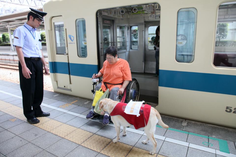 なぜこの課題に取り組むかの画像