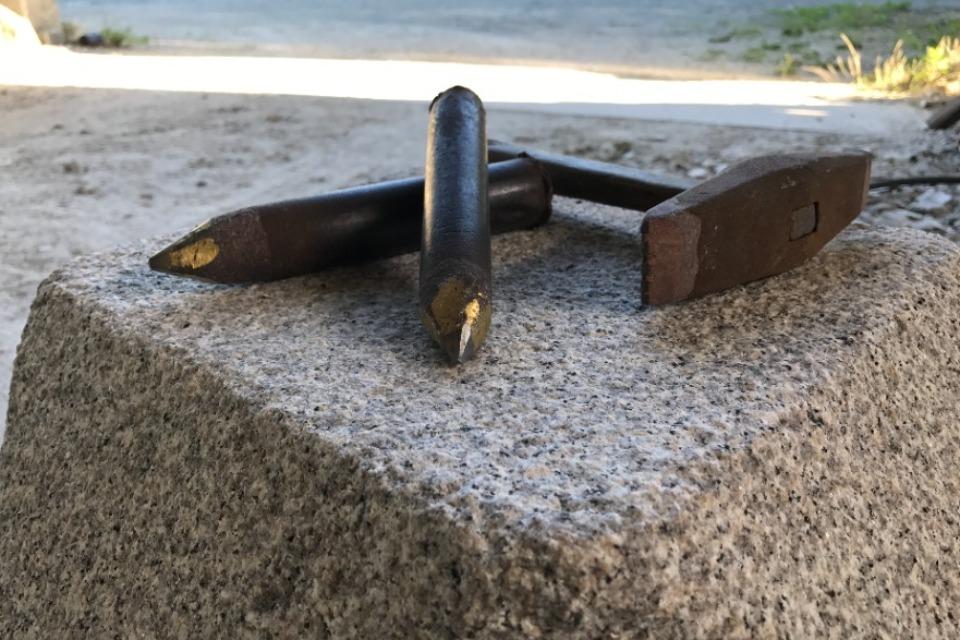 Why we are tackling this issue Image