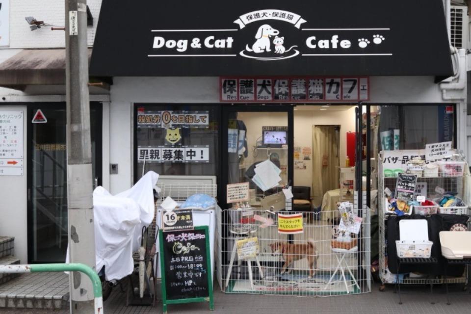 なぜこの課題に取り組むかの画像