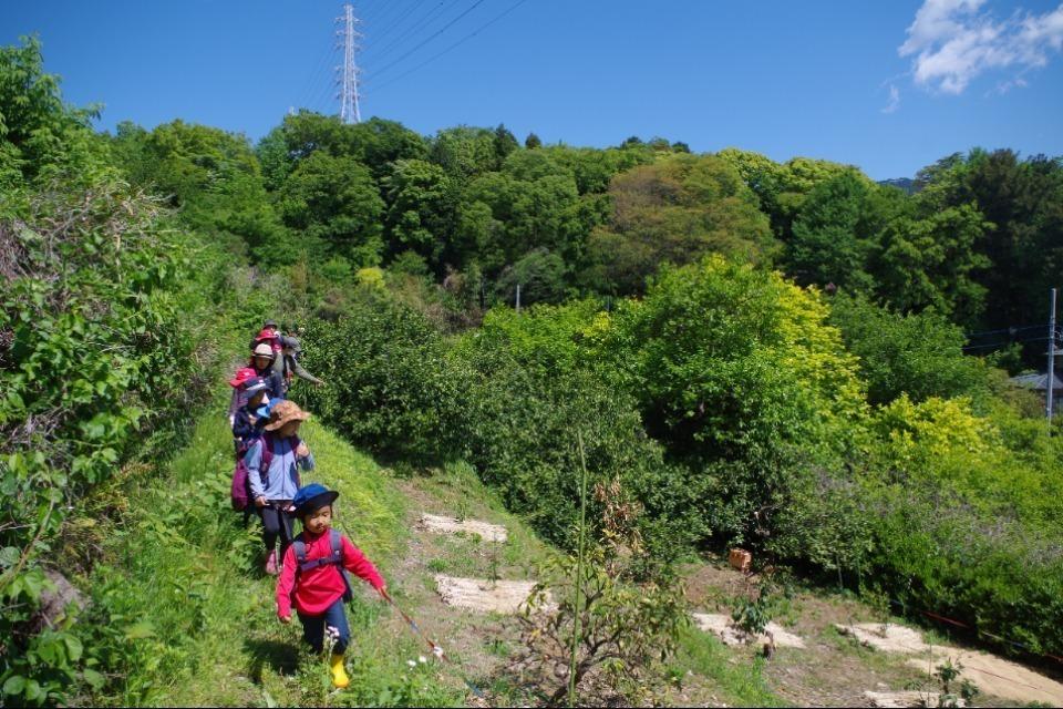 なぜこの課題に取り組むかの画像