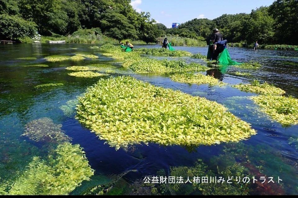 なぜこの課題に取り組むかの画像