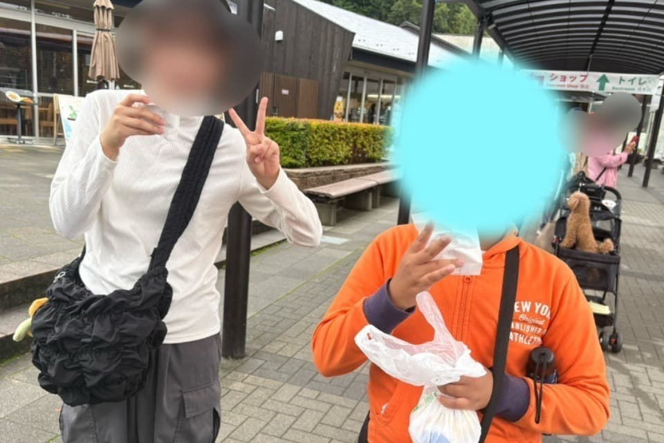 なぜこの課題に取り組むかの画像
